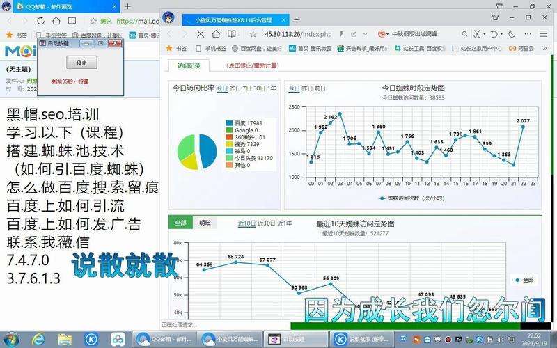 搜狗SEO蜘蛛池推广排名实战解析:如何快速提升网站权重与流量