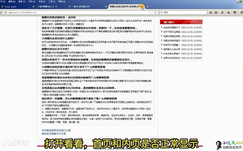 小旋风蜘蛛池视频教程：从零搭建高效蜘蛛池实战全解析