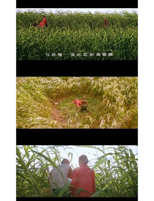 魔兽争霸1.24e冰封王座下载的相关介绍