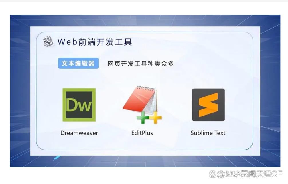 波多野结衣迅雷下载的相关介绍