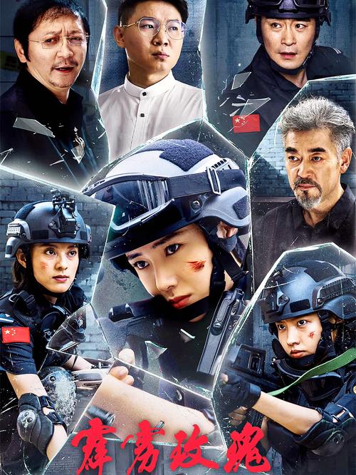 1080P蓝光高清电影下载_无损画质_迅雷磁力BT种子资源