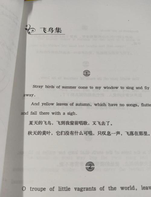 无颜之月下载的相关介绍