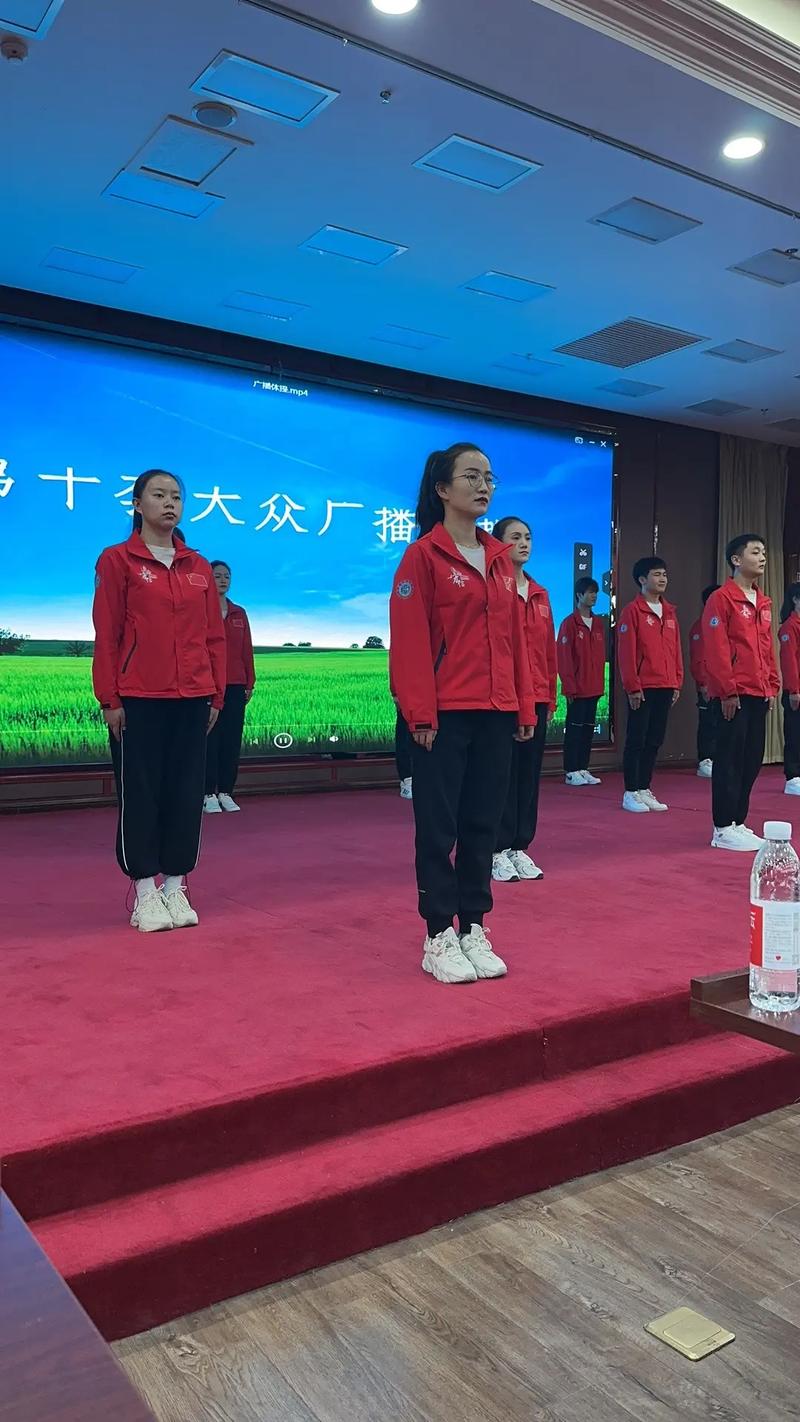 三国志13破解版下载的相关介绍