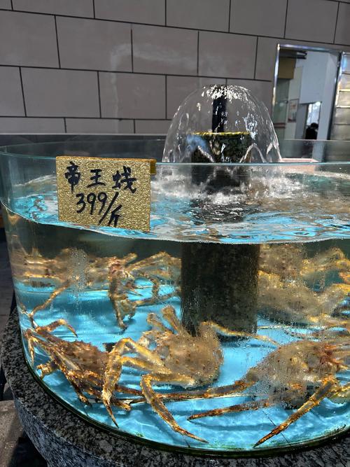 寄生虫蜘蛛池价格曝光:建一个要花多少钱?