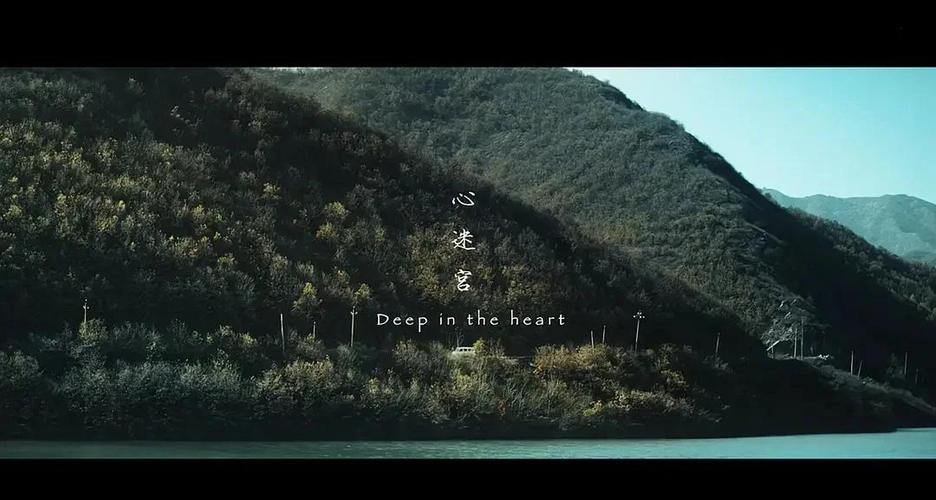 维棠下载的相关介绍