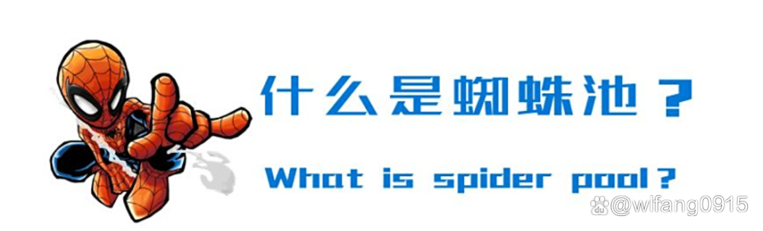 头条蜘蛛池选哪家?2026年最新实测对比出炉