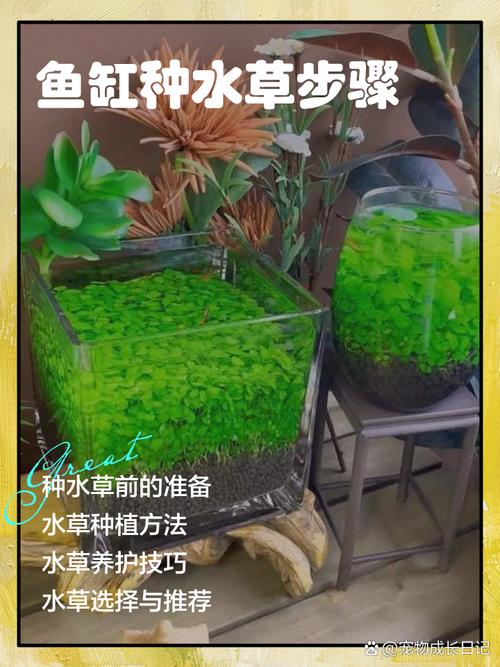 蜘蛛池效果哪个好？2026年实测对比：这三大陷阱让90%站长白花钱