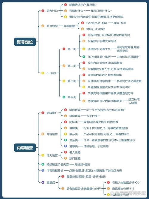 怎么运营蜘蛛池？7天见效的实战运营方案与避坑指南