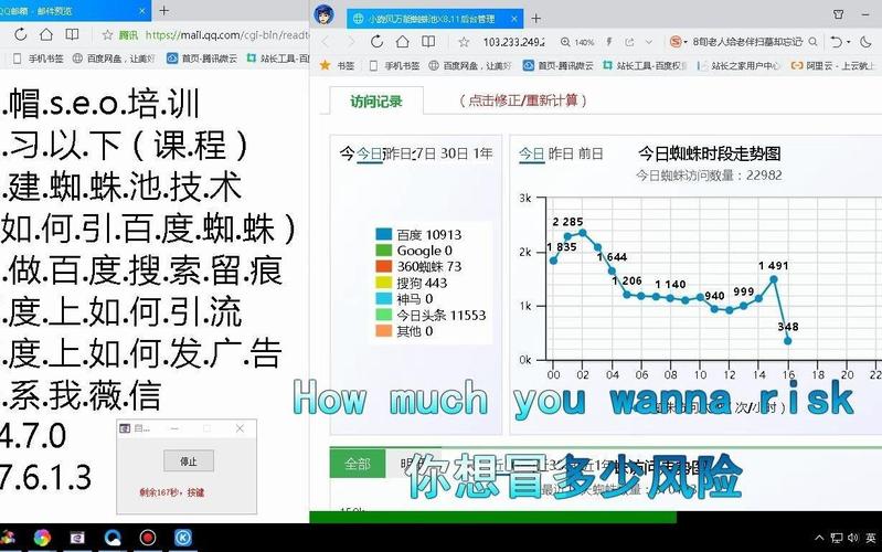 外推蜘蛛池留痕技术深度解析：如何实现高效收录与排名提升
