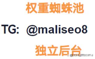 蜘蛛池程序全向zjkwlgs：智能链接生态构建与SEO优化新突破