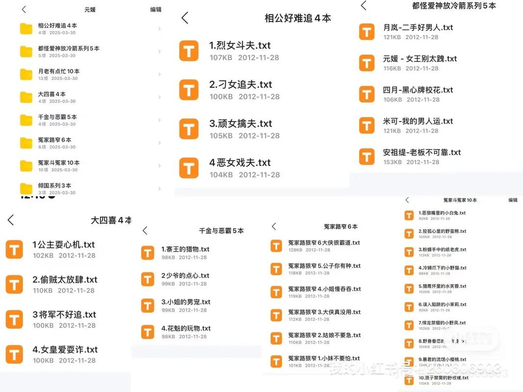会声会影x4破解版下载的相关介绍