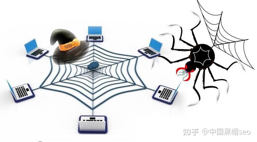免费百度蜘蛛池小说的相关介绍
