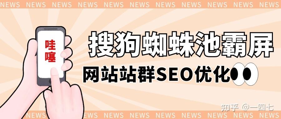 蜘蛛池挂链接教程：新手如何快速掌握蜘蛛池外链投放技巧