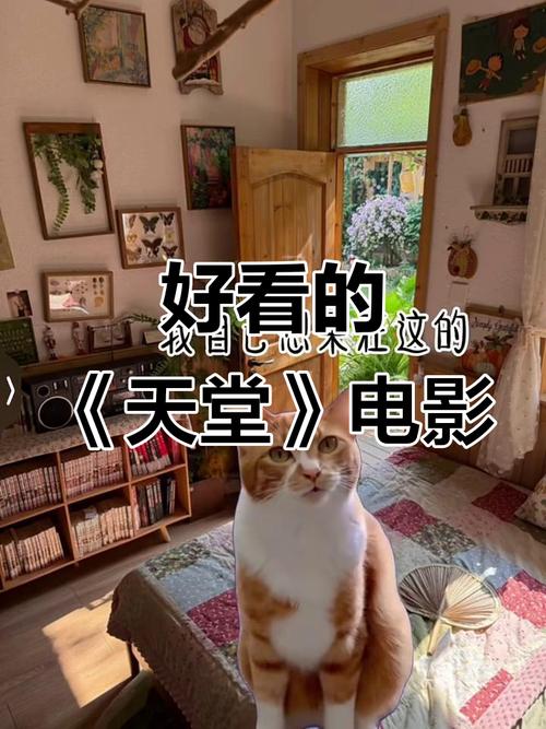 电影天堂免费迅雷下载_最新高清电影_高清BD中字资源
