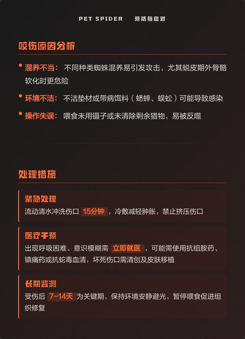蜘蛛池软件究竟能做什么？揭秘其运作原理与潜在风险