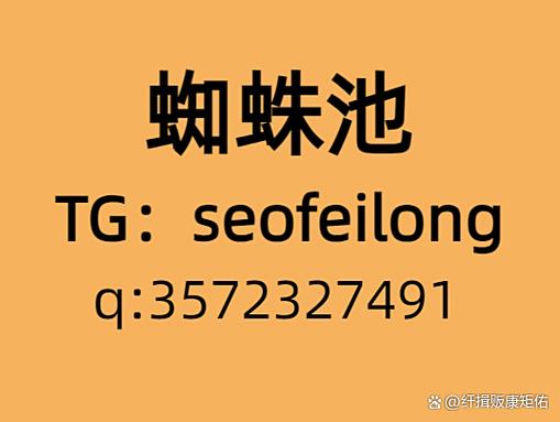 360蜘蛛池租用提供商助力网站收录提速,SEO优化迎来新选择