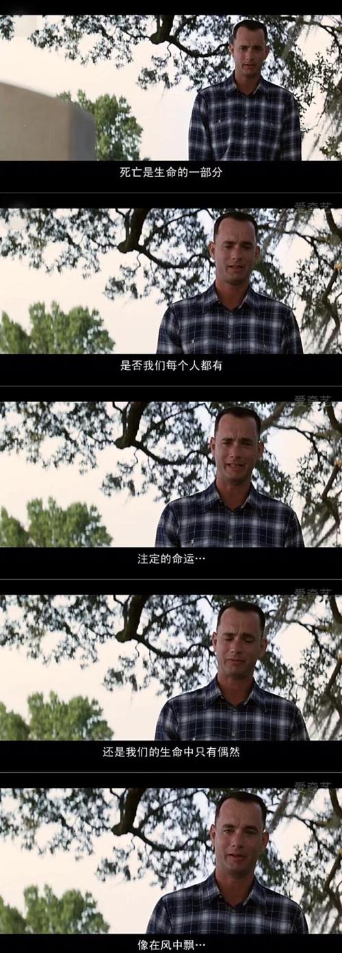 阿甘正传迅雷下载_高清完整版免费下载