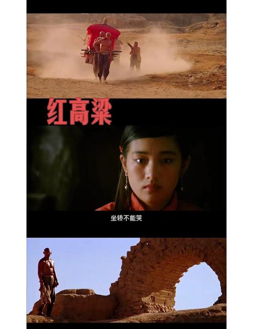 我是特种兵之利刃出鞘下载的相关介绍