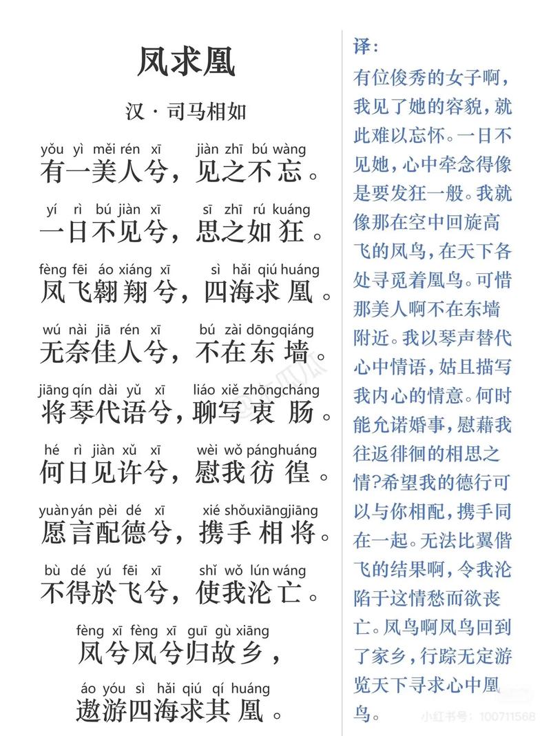 抖音视频下载神器,一键保存无水印高清视频