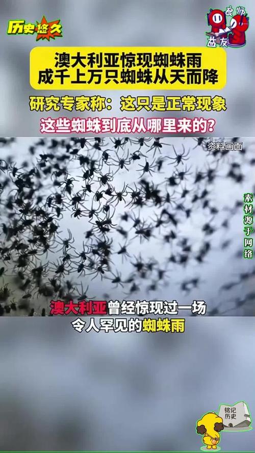 1. 刚刚,十万条新闻同时上线,背后真相令人震惊 2. 一天生成十万条新闻标题,蜘蛛池到底有多疯狂? 3. 蜘蛛池日推十万新闻,搜索引擎还扛得住吗? 4. 揭秘蜘蛛池:一天十万条新闻是如何炼成的 5. 十万新闻标题一夜霸屏,蜘蛛池操作内幕曝光 6. 蜘蛛池日发十万新闻,是技术奇迹还是搜索灾难? 7. 一天十万条新闻轰炸,蜘蛛池正在改写搜索规则 8. 蜘蛛池疯狂输出:单日十万新闻标题的背后逻辑 9. 十万新闻标题瞬间收录,蜘蛛池到底用了什么手段? 10. 蜘蛛池一天十万新闻,SEO江湖再掀腥风血雨