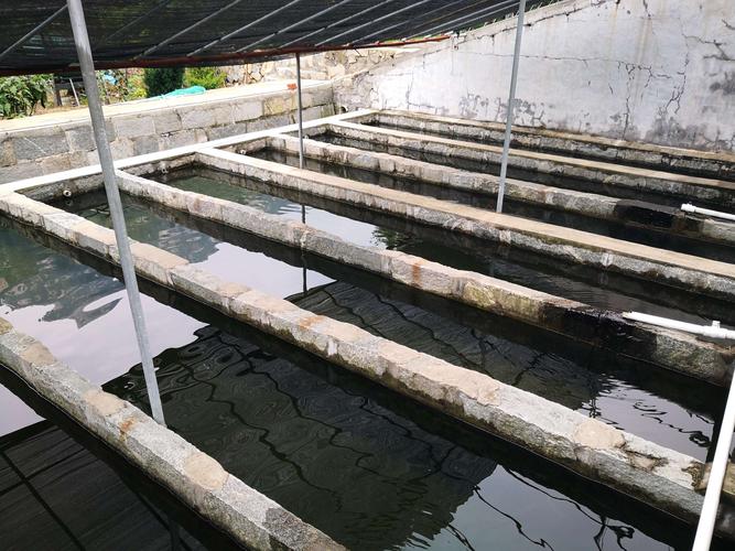 “蜘蛛池”与“繁殖池”黑产调查:搜索引擎霸屏背后的流量生意
