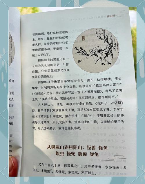 飓风营救3下载的相关介绍