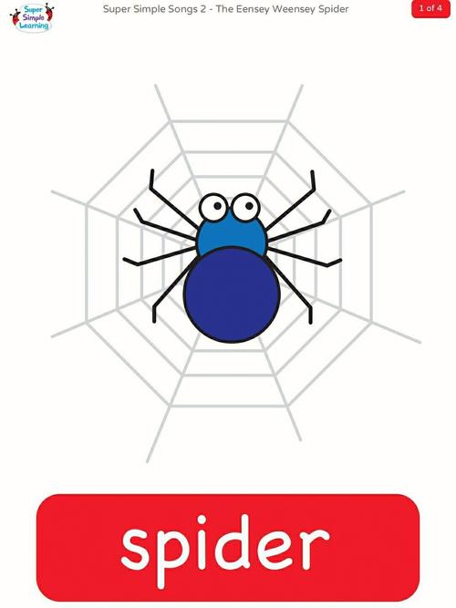 Spider Pool English: Latest News and Updates