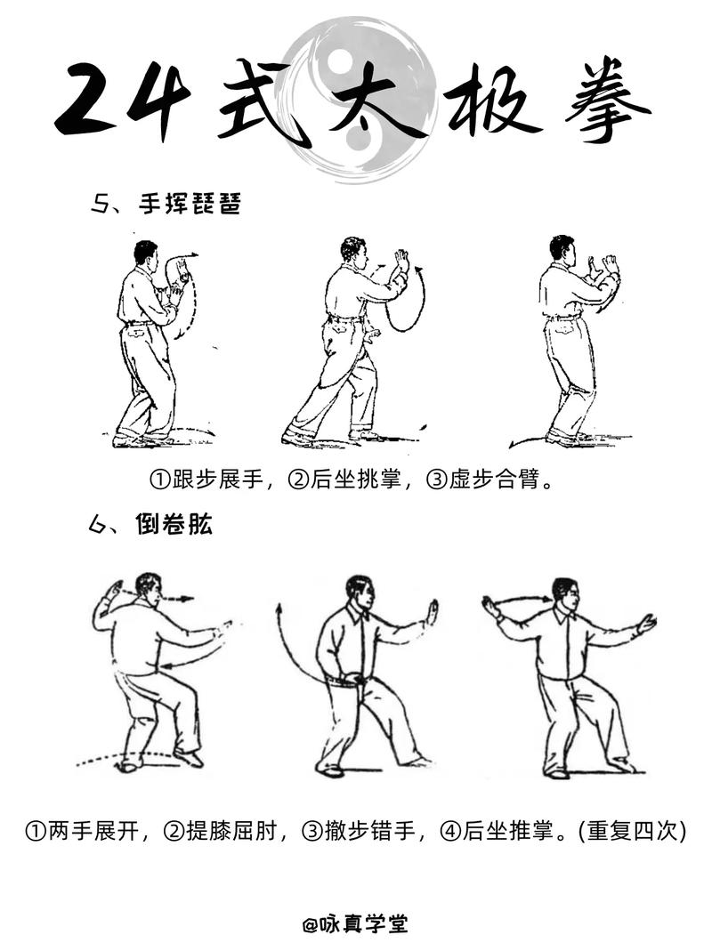 芳芳下载的相关介绍