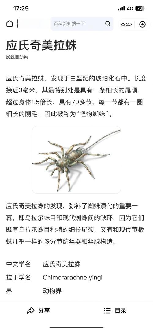 超级蜘蛛池域名引爆SEO行业新变革