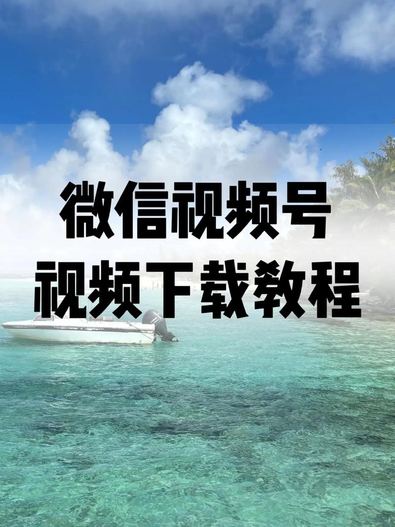 视频怎么下载？教你3种免费下载方法