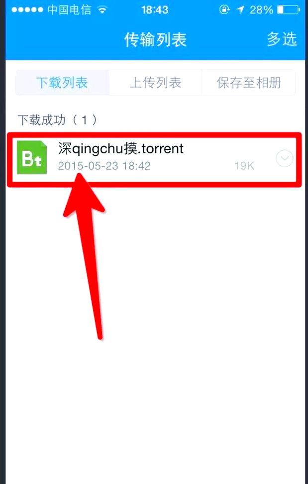 种子文件下载 - BT种子解析与高速下载工具