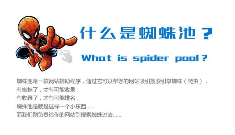 蜘蛛池的蜘蛛怎么用?新手必看的实战操作指南
