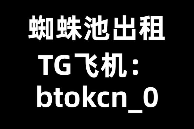 宁夏蜘蛛池租用服务助力企业高效获客,SEO优化新选择