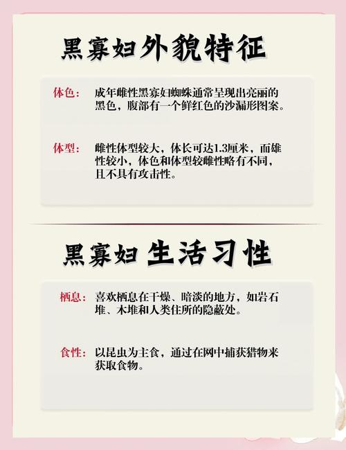 蜘蛛池的双刃剑:流量红利与搜索引擎惩罚风险并存