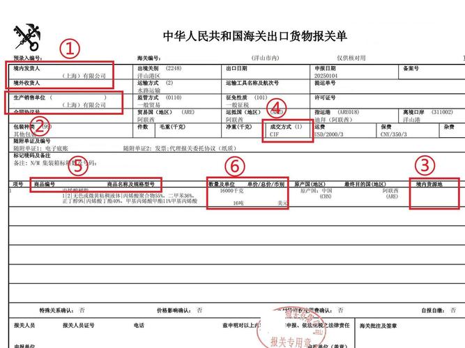 高效报关单下载，一键获取通关文件