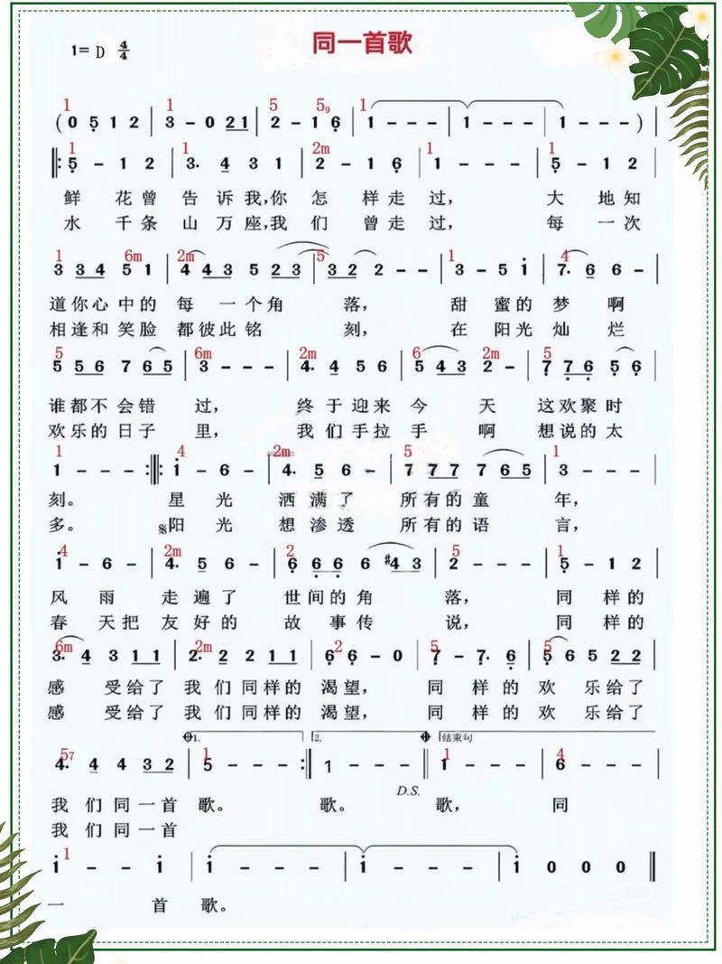 好先生迅雷下载的相关介绍