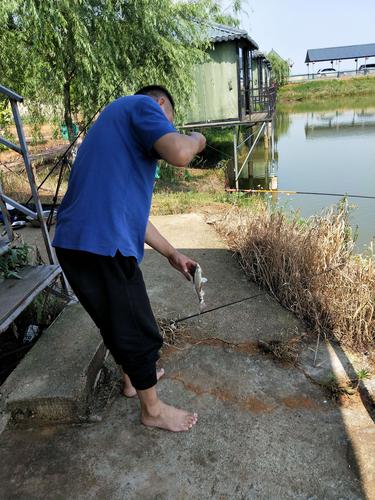 蜘蛛池原理是什么样的的相关介绍