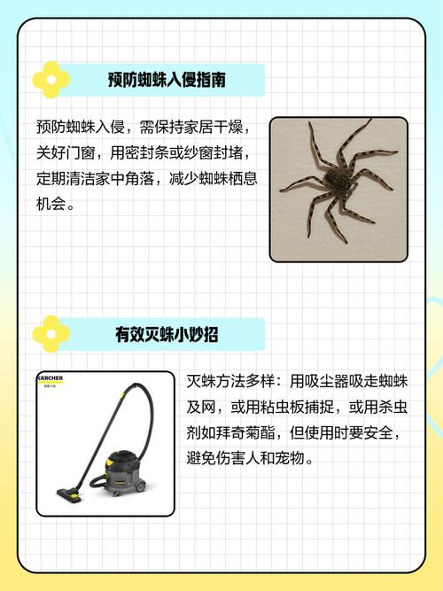 站长蜘蛛池的相关介绍
