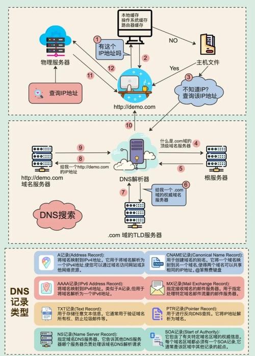 蜘蛛池站群版DNS解析技术深度解析:多IP轮询与泛解析配置实战