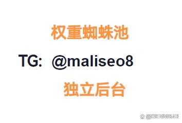 SEO蜘蛛池软件:助力网站快速收录,流量暴涨的秘密武器