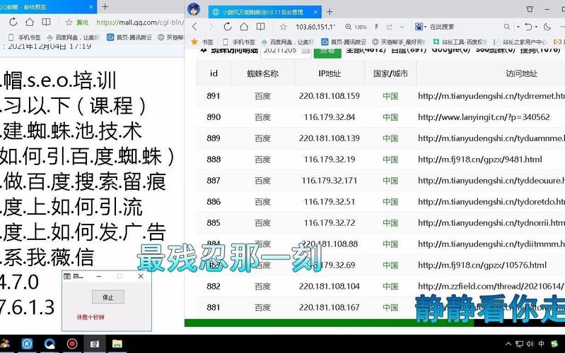 蜘蛛池能提升排名吗？揭秘黑帽SEO背后的风险与真相