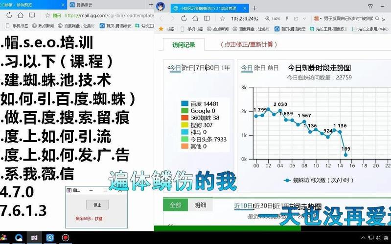 《蜘蛛池创建教程视频》全网热传:手把手教你搭建高效蜘蛛池