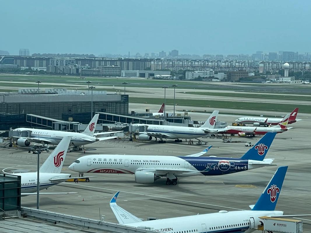 家庭教师迅雷下载的相关介绍