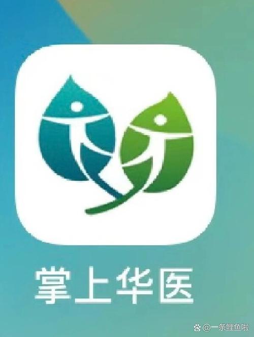 国光帮帮忙下载的相关介绍