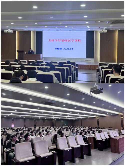 通达信免费下载的相关介绍