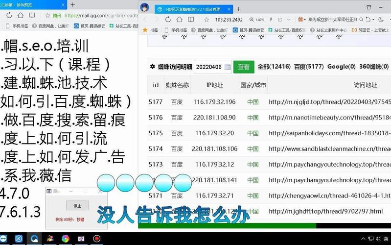 什么是SEO的站群蜘蛛池？揭秘站群蜘蛛池的运作原理与风险