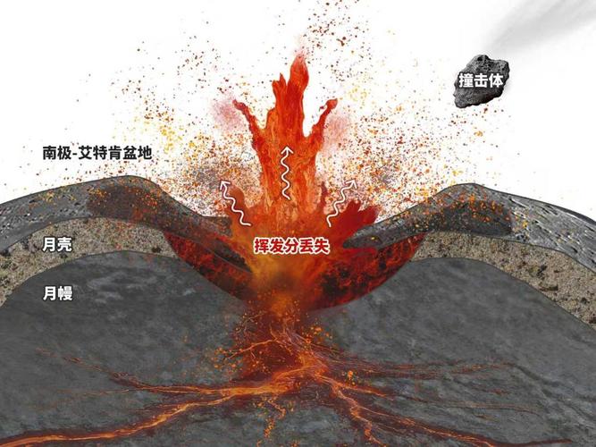 寄生虫“不要蜘蛛池”引发生物学新讨论