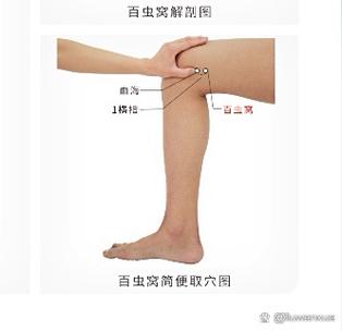 蜘蛛池搭建在什么位置效果最佳?