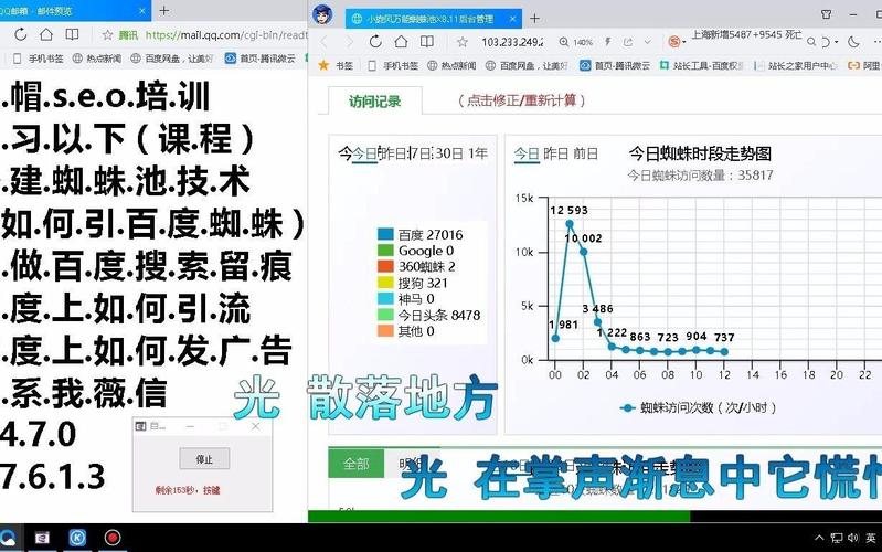 蜘蛛池采集关键字：揭秘黑帽SEO背后的流量操纵术