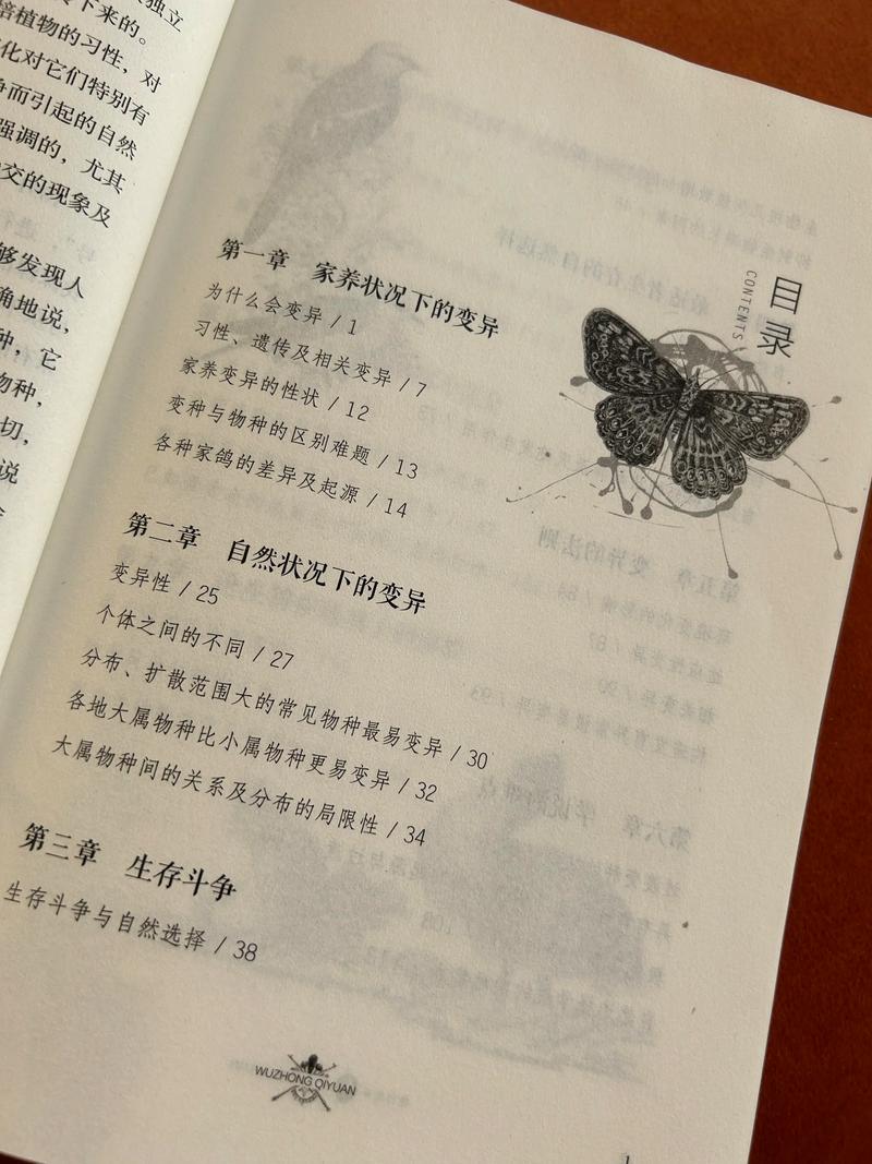 欢喜密探下载的相关介绍